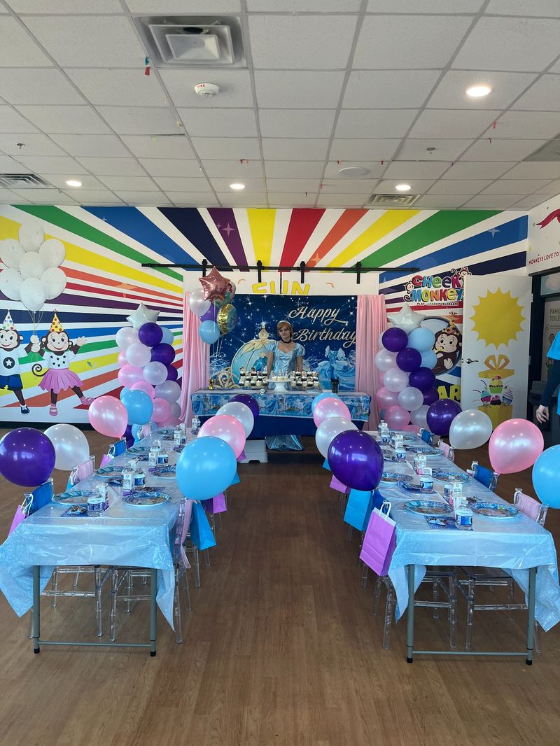 Frozen Princess Theme Party